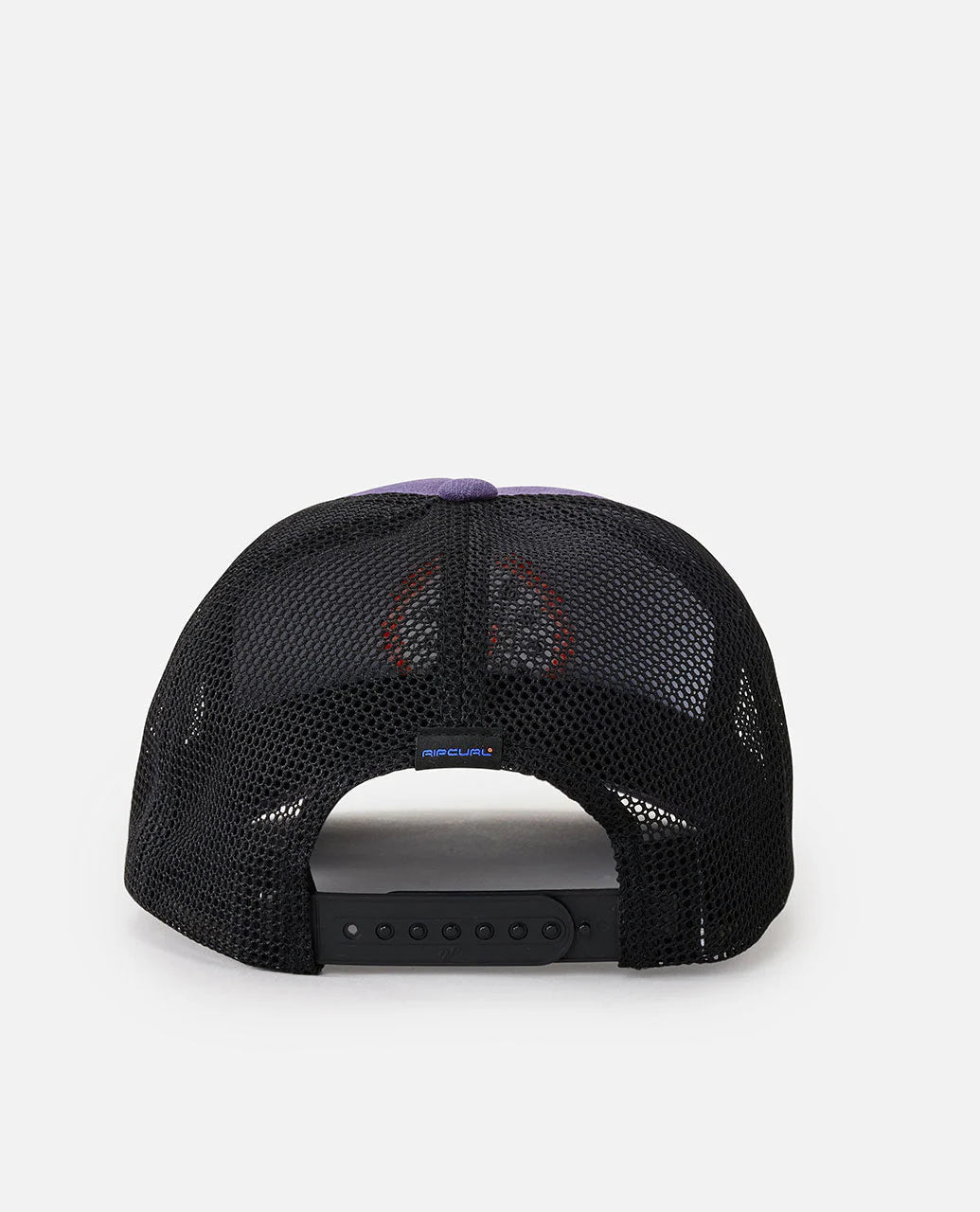 Search Sun Trucker - Purple Haze