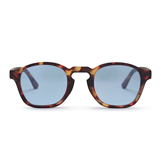 Gee Turtle Brown/Blue
